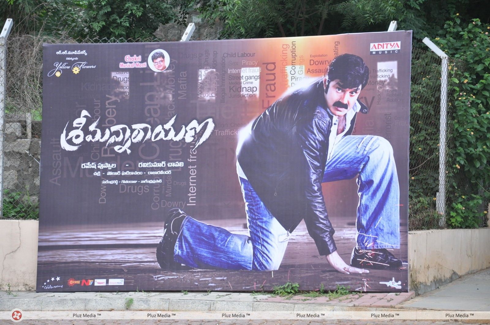 Srimannarayana Movie Audio Release Pictures | Picture 244777