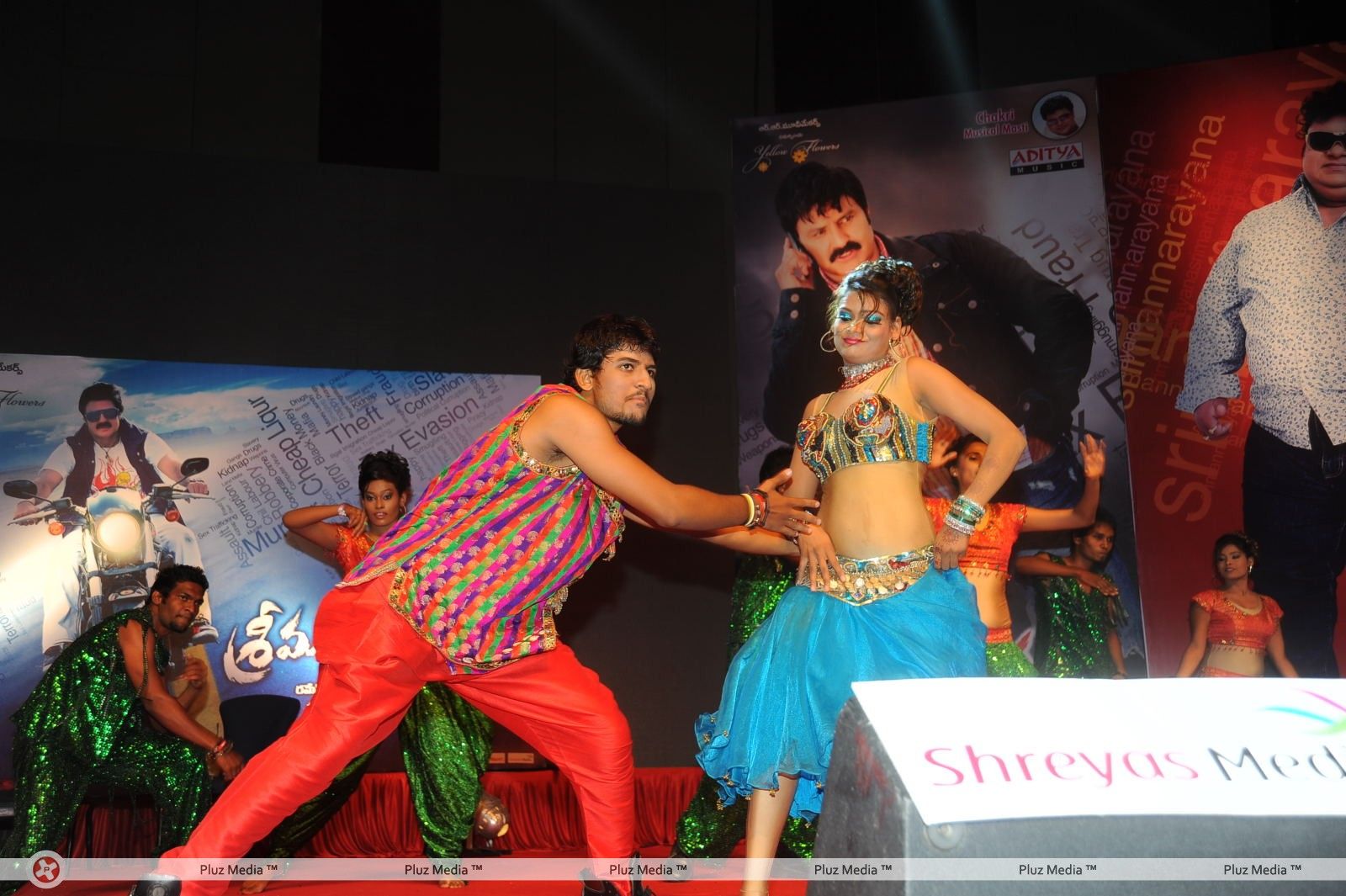 Srimannarayana Movie Audio Release Pictures | Picture 244781