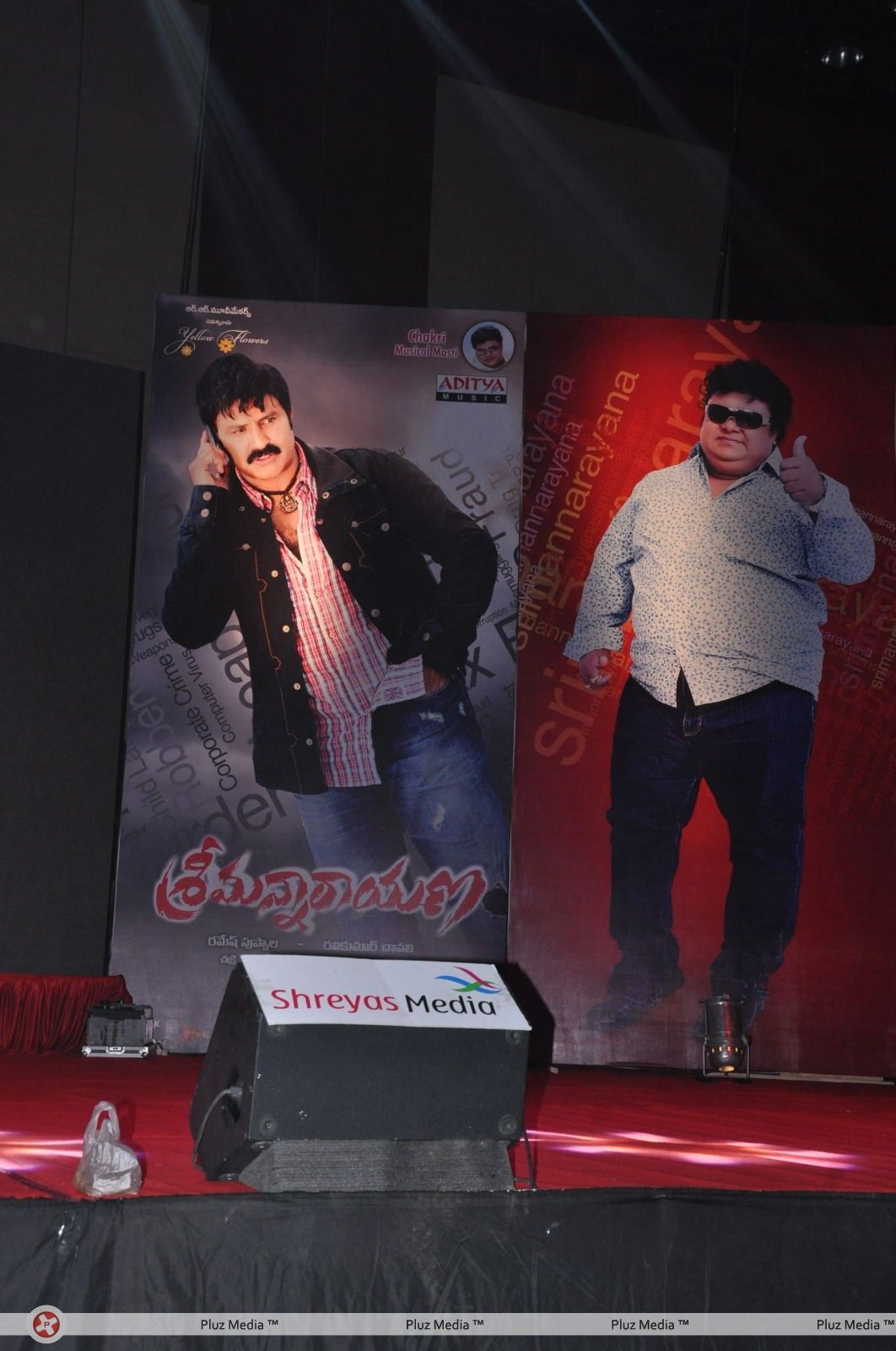 Srimannarayana Movie Audio Release Pictures | Picture 244798