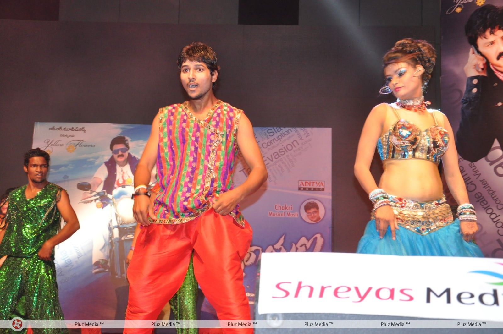 Srimannarayana Movie Audio Release Pictures | Picture 244802