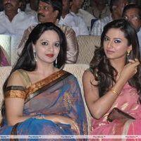 Srimannarayana Movie Audio Release Pictures | Picture 244731