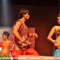 Srimannarayana Movie Audio Release Pictures | Picture 244734