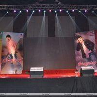 Srimannarayana Movie Audio Release Pictures | Picture 244738