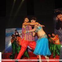 Srimannarayana Movie Audio Release Pictures | Picture 244743