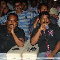 Srimannarayana Movie Audio Release Pictures | Picture 244747