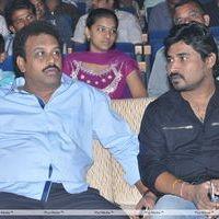 Srimannarayana Movie Audio Release Pictures | Picture 244751