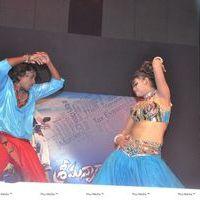 Srimannarayana Movie Audio Release Pictures | Picture 244757