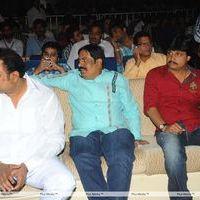 Srimannarayana Movie Audio Release Pictures | Picture 244758