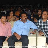 Srimannarayana Movie Audio Release Pictures | Picture 244760