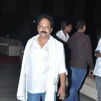 Srimannarayana Movie Audio Release Pictures | Picture 244761