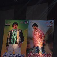 Srimannarayana Movie Audio Release Pictures | Picture 244765