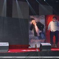 Srimannarayana Movie Audio Release Pictures | Picture 244767