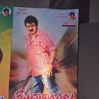 Srimannarayana Movie Audio Release Pictures | Picture 244768