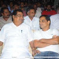 Srimannarayana Movie Audio Release Pictures | Picture 244769