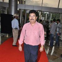 Srimannarayana Movie Audio Release Pictures | Picture 244773