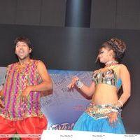 Srimannarayana Movie Audio Release Pictures | Picture 244774