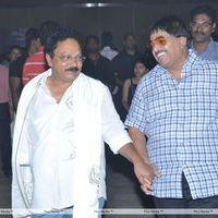 Srimannarayana Movie Audio Release Pictures | Picture 244776