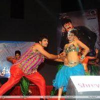 Srimannarayana Movie Audio Release Pictures | Picture 244781