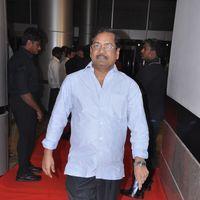 Srimannarayana Movie Audio Release Pictures | Picture 244794