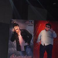 Srimannarayana Movie Audio Release Pictures | Picture 244798