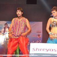 Srimannarayana Movie Audio Release Pictures | Picture 244802