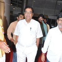 Srimannarayana Movie Audio Release Pictures | Picture 244803