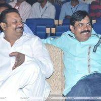 Srimannarayana Movie Audio Release Pictures | Picture 244805