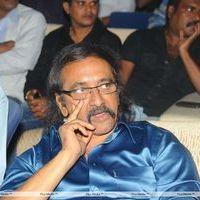 Sai Babu - Srimannarayana Movie Audio Release Pictures | Picture 244996