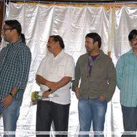 Kamine Logo Launch Pictures | Picture 246715