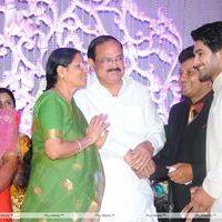 Saikumar Daughter Wedding Reception Photos | Picture 247632