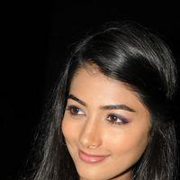 Pooja Hegde at Mask Movie Audio Launch Pictures | Picture 248947