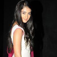 Pooja Hegde at Mask Movie Audio Launch Pictures | Picture 248952
