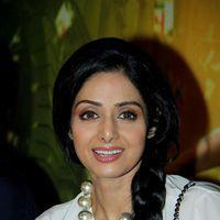 Sridevi At English Vinglish Trailer launch Pictures | Picture 251367