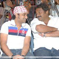 Julayi Double Platinum Disc Function Pictures | Picture 253464
