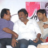 Julayi Double Platinum Disc Function Pictures | Picture 253608