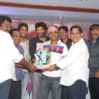 Julayi Double Platinum Disc Function Pictures | Picture 253610