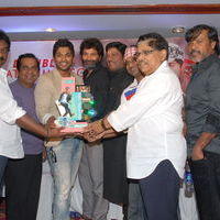 Julayi Double Platinum Disc Function Pictures | Picture 253613