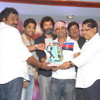 Julayi Double Platinum Disc Function Pictures | Picture 253617