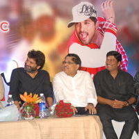 Julayi Double Platinum Disc Function Pictures | Picture 253620