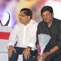 Julayi Double Platinum Disc Function Pictures | Picture 253622