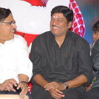 Julayi Double Platinum Disc Function Pictures | Picture 253624