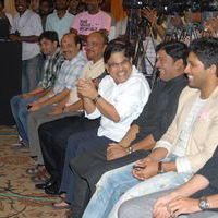 Julayi Double Platinum Disc Function Pictures | Picture 253639