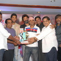 Julayi Double Platinum Disc Function Pictures | Picture 253642