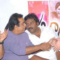 Julayi Double Platinum Disc Function Pictures | Picture 253647