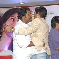 Julayi Double Platinum Disc Function Pictures | Picture 253652