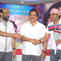Julayi Double Platinum Disc Function Pictures | Picture 253656