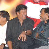 Julayi Double Platinum Disc Function Pictures | Picture 253657