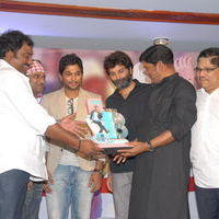 Julayi Double Platinum Disc Function Pictures | Picture 253669