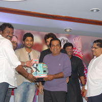 Julayi Double Platinum Disc Function Pictures | Picture 253670