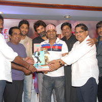 Julayi Double Platinum Disc Function Pictures | Picture 253677